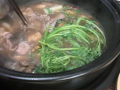 -滇野云南野生菌餐厅(陕西南路店)