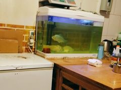 -新月斋(豆瓣胡同店)