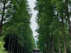 -青城山