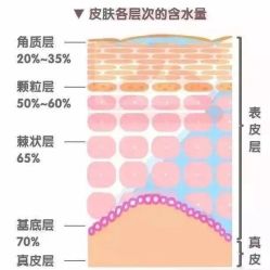 -Cream88颜皮肤管理中心