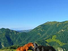 -灵山