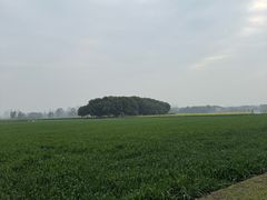 -中国天府农业博览园