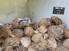 -大象粑粑造纸公园