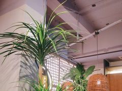 -管氏翅吧(地安门店)