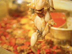-哥老官重庆美蛙鱼头(龙湖杭州金沙天街店)