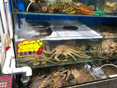 -蚝专家(北滘店)