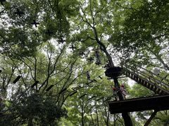 -WeLope紫金山探险公园