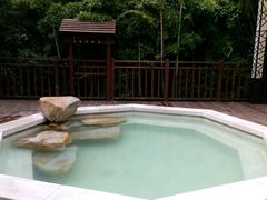 -天目湖涵田半山温泉