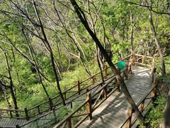 -大岭沟猕猴桃谷风景区