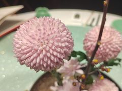 -西湖春天(中州店)