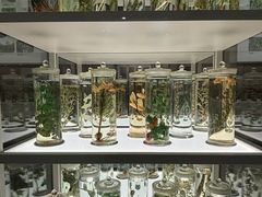 -北京中医药大学-中医药博物馆