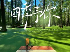 -渌洋湖湿地公园