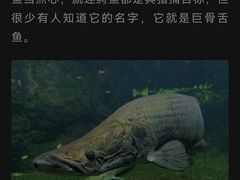 -青青世界