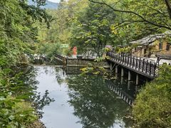 -天女山森林公园