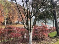 -尚贤河湿地