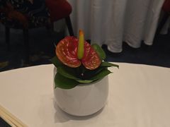 -上海总会SHANGHAICLUB(兴业太古汇店)