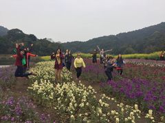 -广州市石门国家森林公园