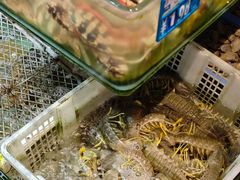 -强记海鲜·大排档(蛇口新街店)