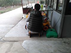 -小六农家乐(崇明西沙湿地店)