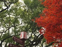 -岳麓山风景名胜区