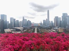 -荔枝公园-小平画像广场