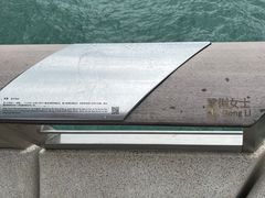 -星光大道