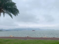 -野狸岛