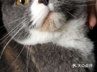 好想她，虽然她又凶又皮