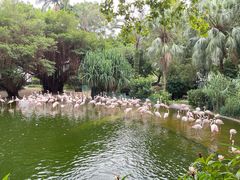 -九龙公园
