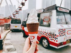 -富豪雪糕车流动点(尖沙咀店)