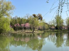 -梁鸿国家湿地公园