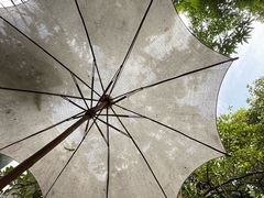 -Fern Forest Cafe
