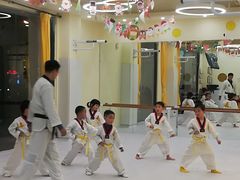 -勇气斑马·巴西柔术&跆拳道(浦东三林店)