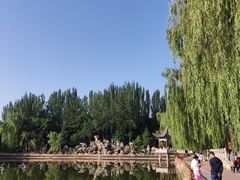 -金城公园