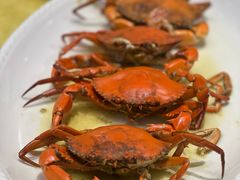 -台山美食一绝阿四台山黄鳝饭(阿四创作店)