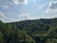 -广州白江湖森林公园