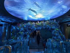 -陕西自然博物馆