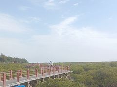 -北海金海湾红树林生态旅游区