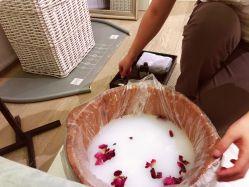 -奥斯芬欧系贵族SPA
