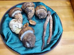 -名善山珍·野生菌汤锅(文殊院店)