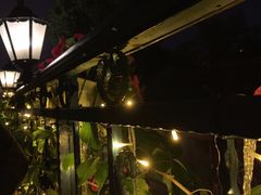 -Sirena海妖日咖夜酒