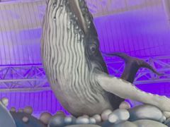 -烟台海昌鲸鲨海洋公园