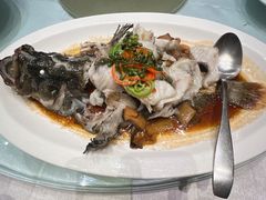 -绿岛国际酒店·海鲜酒楼(八七路店)