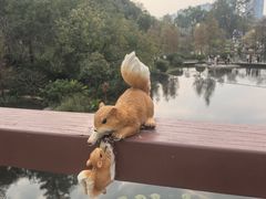 -云溪植物园