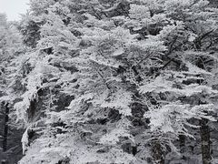 -硗碛藏寨·神木垒景区
