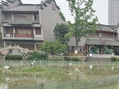 -龙潭水乡