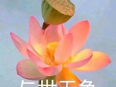 -时光码头民谣公社