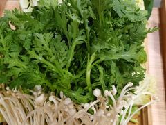 -蝎王府羊蝎子(西直门店)