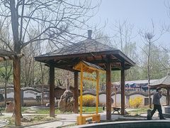 -稻香湖景欢乐岛温泉城堡