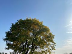-汉景帝阳陵博物院
